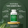 Natural Vitamin B1 + Allithiamine with B Complex Blend –