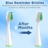 Replacement Toothbrush Heads for Waterpik Complete Care 5.0/9.0 (CC-01/WP-861), with