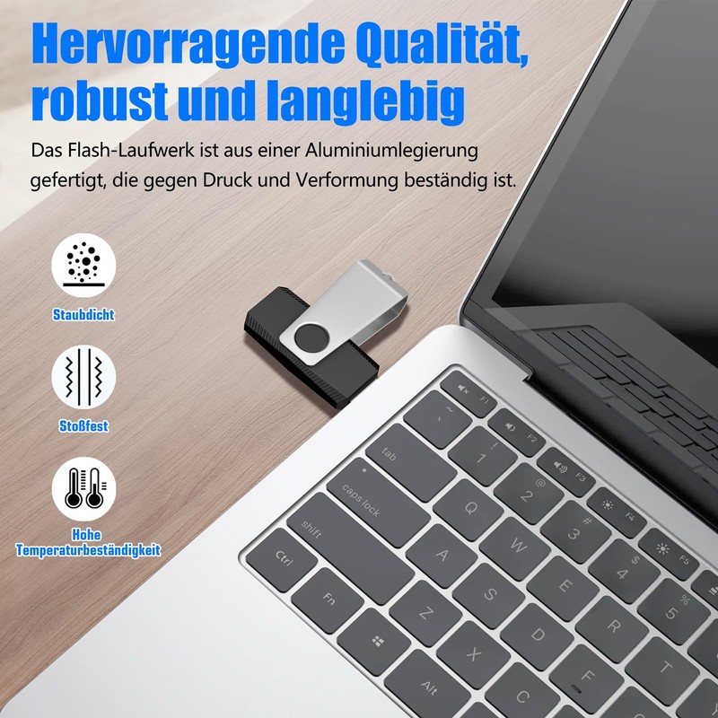 TEWENE USB Stick 2 GB 10 Piece Set, USB Memory