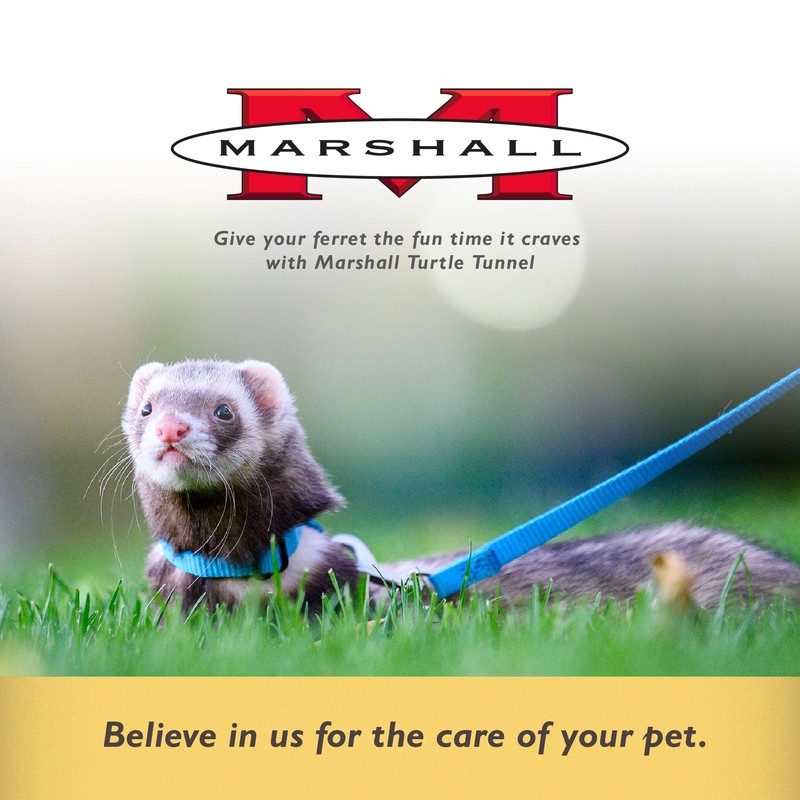 Marshall Pet Turtle Tunnel