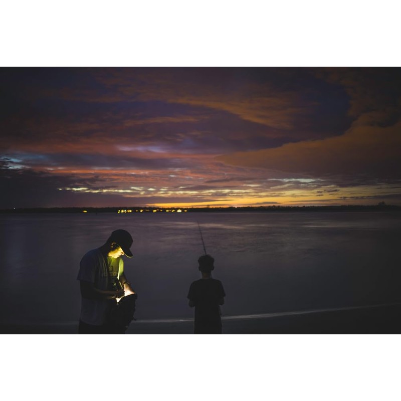 MagLite 3C Cell LED Flash Light, Red