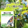 【リプサ公式】 野ぶどう粒 約1か月分 T-754 ポリフェノール サプリメント