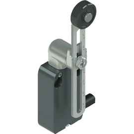 Pizzato Elettrica NF B112KP-DN2 Endschalter 250 V/AC 4A Rollenschwenkhebel tastend IP67 1St.