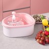 JOYMOOP JOYLOOP Fruit Cleaner Spinner Large Fruit Washer Spinner with