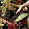 Fiskars Hand Trowel - Fiber Composite Gardening Hand Tool with