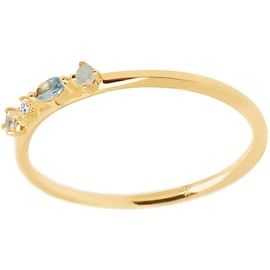 P D PAOLA 925 Sterling Zilveren Goudkleurige Atelier Midnight Ring AN01-193-12 (Maat: 16.5)