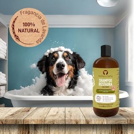 ssd trading llc Petting is Caring Shampoo Natural para Perro y Gato, Fragrancia AloeGreencaviar, 480ml                                                