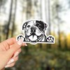 English Bulldog Peeking Vinyl Sticker - for Water Bottle Car
