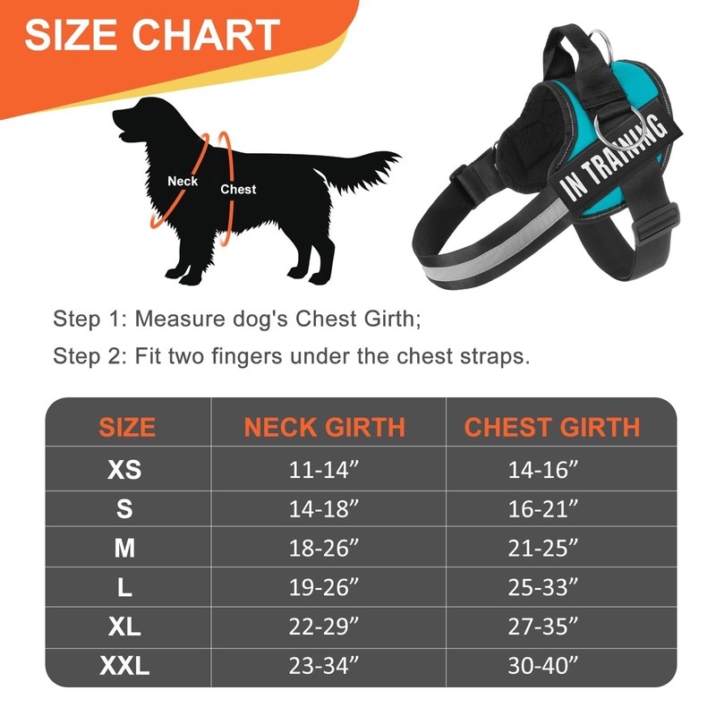 Essential Dog Harness, No Pull Pet Harness with 3 Side