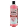 Caja 6 Pzs Shampoo Cacahuananche Reparación Secreto Herbal
