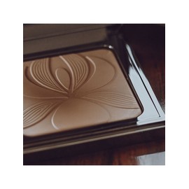 Blur Expert 11g (Powder) / 블러 엑스퍼트 11g (파우더)