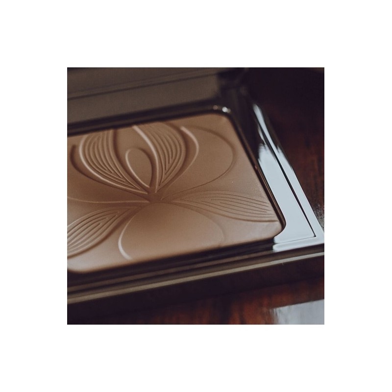 Blur Expert 11g (Powder) / 블러 엑스퍼트 11g (파우더)