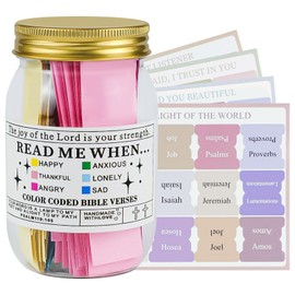 SHBAOCH Bible Verses in a Jar, The Hope Jar Bible Verses, 60 Pieces Mini Bible Verse Cards with 150 Bible Tabs for Emotions & Feelings Jar,Bi-ble Study Supplies Gifts