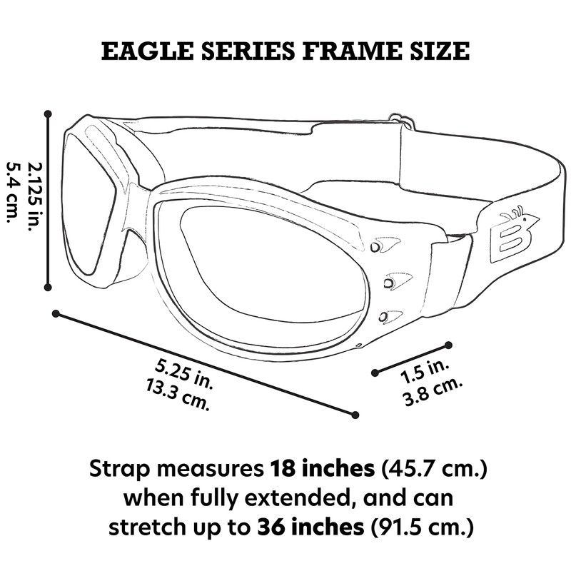 Birdz Eyewear Eagle Padded Dirt Bike Motorcycle Riding Goggles Black