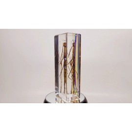 Stick Bug in Lucite, Resin