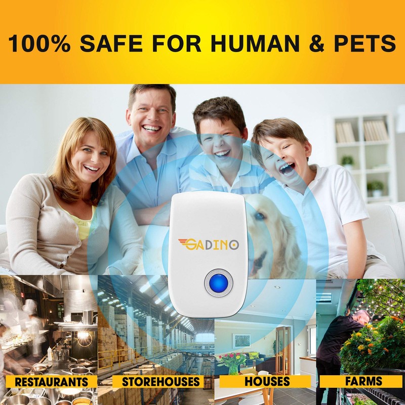 Constitution Quest Game