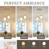 Osimir 3-Light Pendant Lighting, Brushed Gold Dining Room Chandelier Light