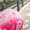 Jwqqwdza 3 Pcs 28'' Chinese Umbrellas for Women, Improve Parasol