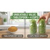 Todd’s Seeds - Alfalfa Seeds - 16 Oz Bulk Alfalfa