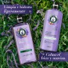 Kit Herbal Essences Lavanda 1.2 L