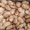 FOTS - Pinto Beans Dry Bulk (16 Pounds) Perfect Refried