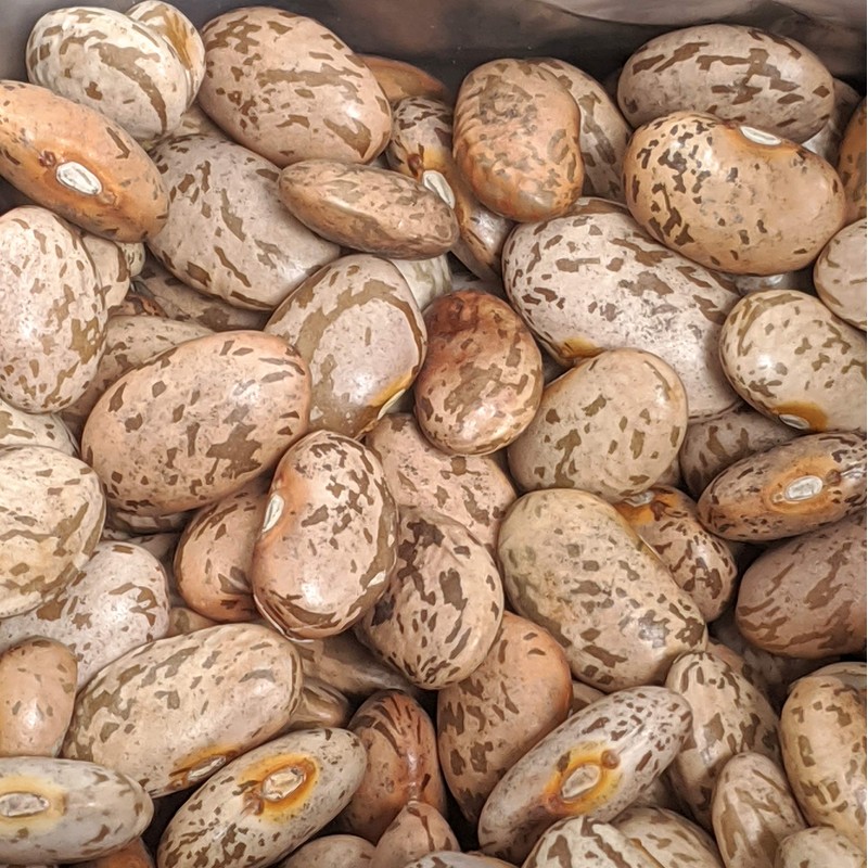 FOTS - Pinto Beans Dry Bulk (16 Pounds) Perfect Refried