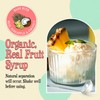 Wäbry Organic Piña Colada Syrup – 14.2oz (420g), Natural Fruit