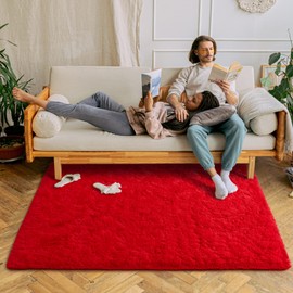 Chicrug Soft Area Rugs for Bedroom Living Room Plush Fluffy Rug 4x6 Feet, Shag Furry Area Rug Carpet Non Shedding for Nursery Children Kids Girls Room Home Decorative, Red