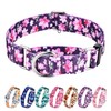 Hikiko - Collar de martingala para perros sin hebilla, collar