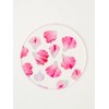 toumei Pressed Flower Carnation Coasters Set of 4 in a