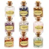 mookaitedecor 9pcs Mini Glass Wishing Bottles Tumbled Gemstone Crystal Chips