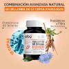 Probioticos Avanzados 60 Billones 12 Cepas + Prebioticos | Digestion