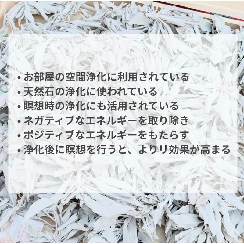 Sage White Sage Incense (Sage 1.2 oz (35 g) +