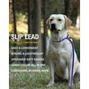 lynxking 6 FT Dog Leash Slip Lead 2 Pack Strong