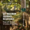 Droll Yankees Squirrel Proof Bird Feeders for Outdoors - YF-M