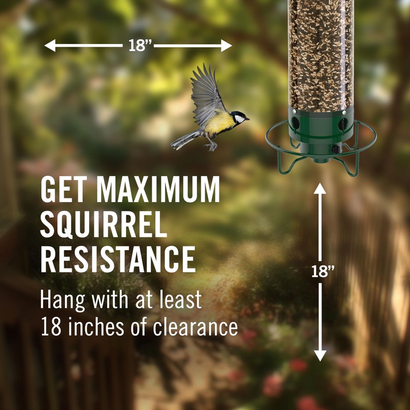 Droll Yankees Squirrel Proof Bird Feeders for Outdoors - YF-M