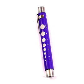 PRECISE CANADA: Reusable LED Penlight with Pupil Gauge for Nurses Doctors with Pocket Clip Purple Color