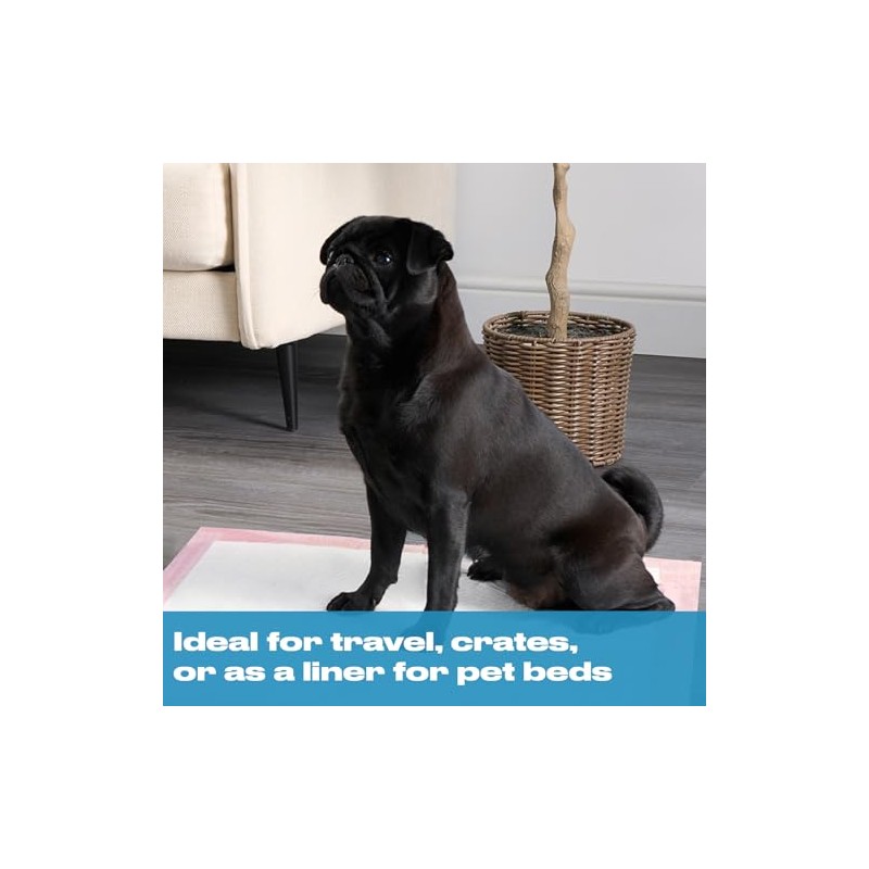 OHS Puppy Training Pads 100 Pack, Leakproof Super Absorbent LEMON