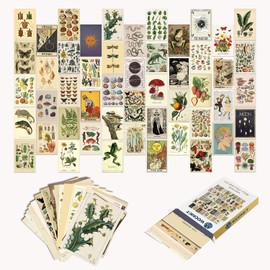 Woonkit Decoración clásico de habitación, decoración de tarot, impresiones estéticas de pósteres clásico, decoración de pared de recámara universitario, decoración de oficina en casa, decoración de cabaña, kit de collage de pared para niños y niñas, 50 p