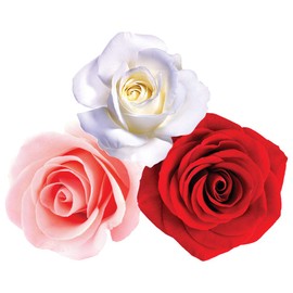 StikArt Removable Pink Roses White Roses and Red Roses Wall Decals Printed on Waterproof Canvas (15 Flowers)