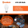 LED Light Bulbs | 10 Watt (60 Watt Equivalent) |