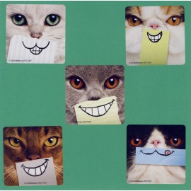 SmileMakers 10 Cat Smiles - Large Stickers - Party Favor - Rewards - Kittens