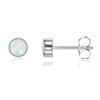 Titanium Earrings Hypoallergenic Women Men Girls G23 Titanium Stud Earrings