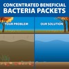 The Pond Guy Seasonal Defense, Spring & Fall Beneficial Bacteria,