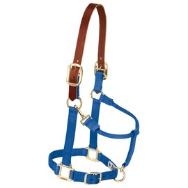 Weaver Leather Nylon Adjustable Breakaway Horse Halter, Large, Blue
