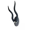 Blackbuck horns on panel replica Taxidermy skulls horns skulls