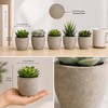 Artificial Succulent Plants in Decorative Cement-Style Pots – 5-Piece Faux