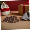 FUNOMOCYA 100pcs Mini Natural Pine Cone for Christmas Tree 1.18
