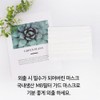 Guard Domestic Dental Mask Disposable Triple MB Filter 200 Sheets