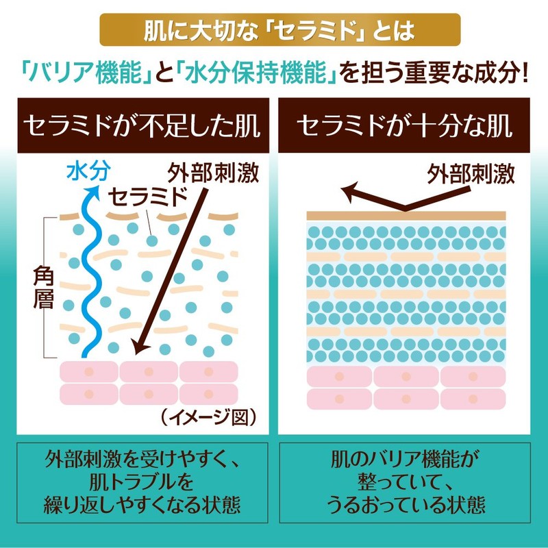 ケアセラ 7種の天然型セラミド配合 泡の高保湿全身ボディウォッシュ ボタニカルガーデンの香り つめかえ用 350mL